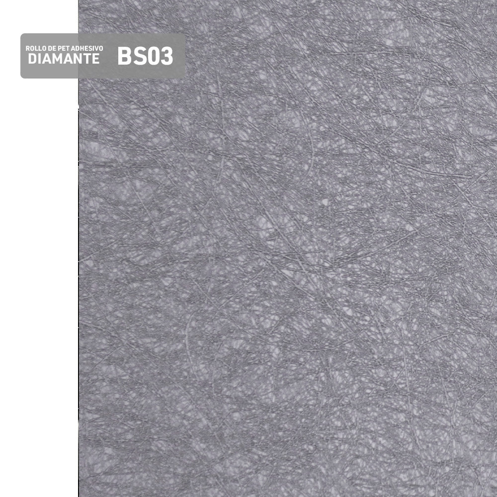 BS03
