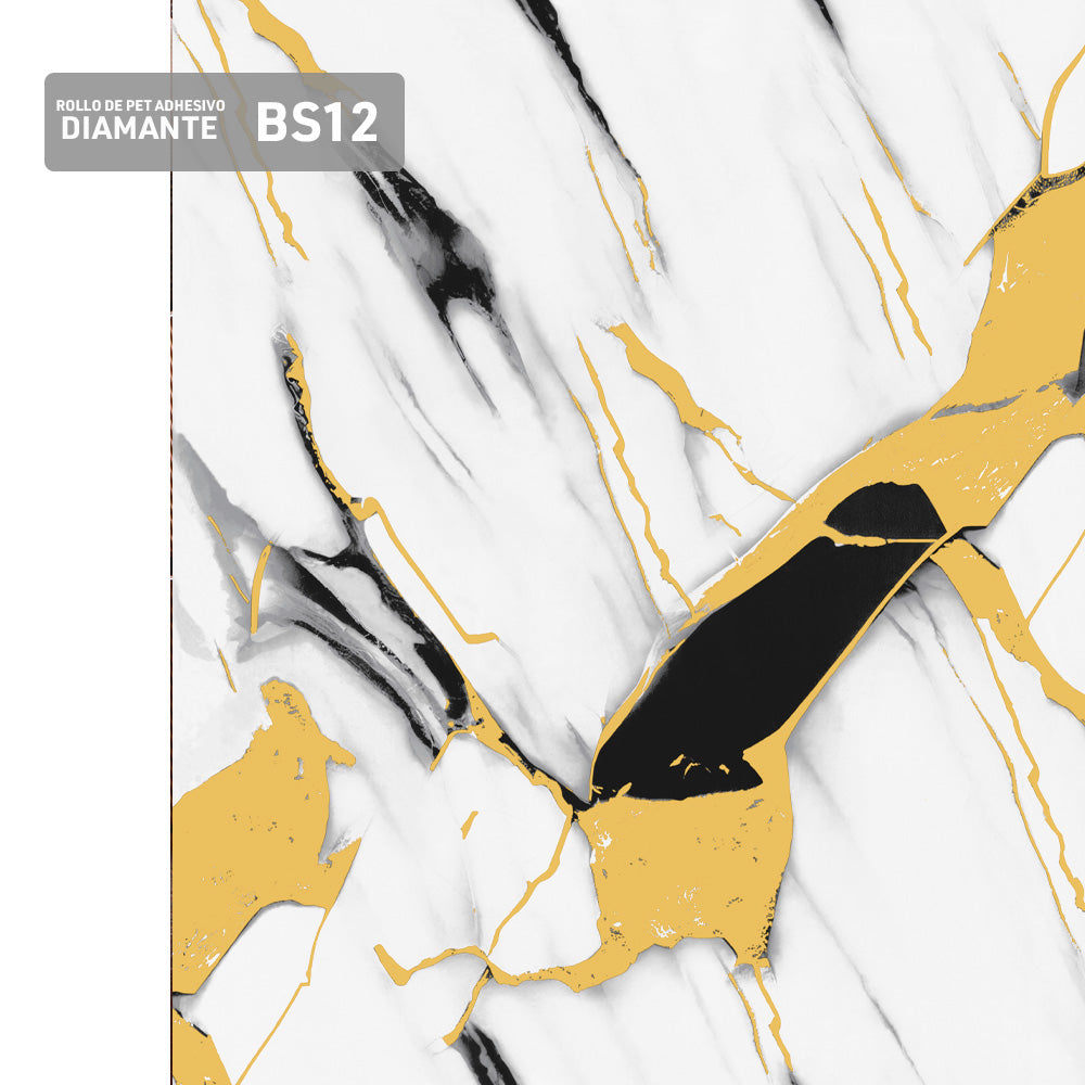 BS12