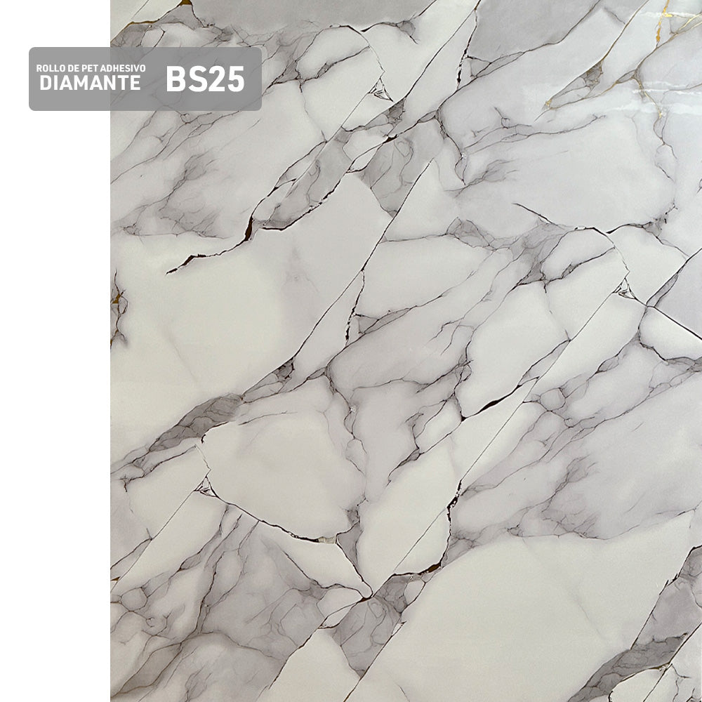 BS25