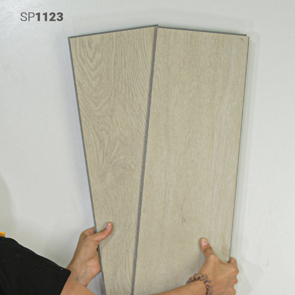 SP1123
