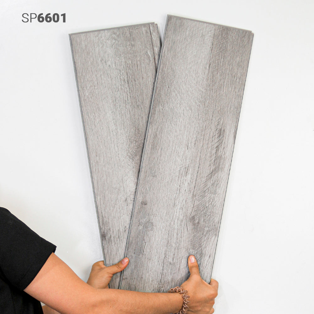 SP6601