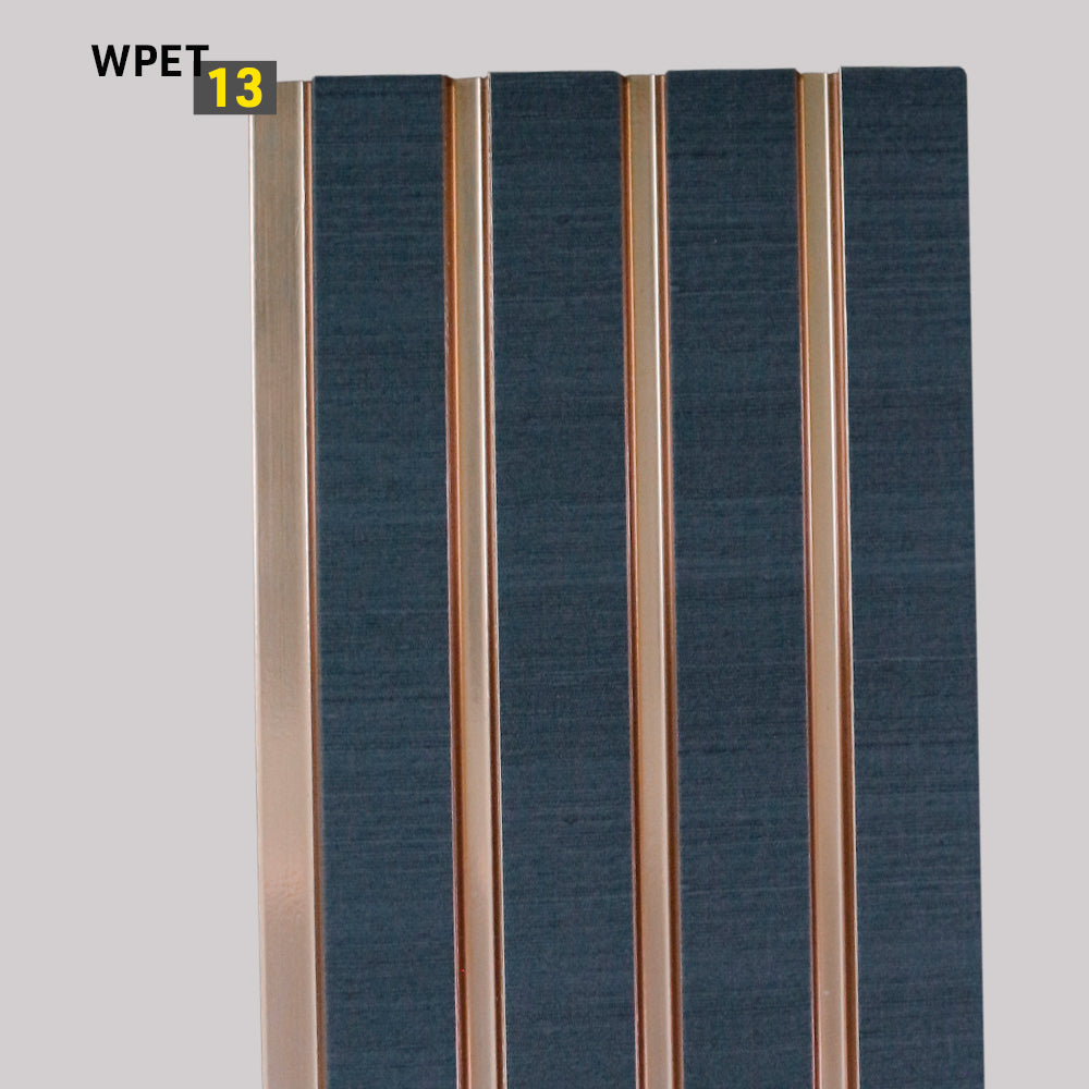 WPET13
